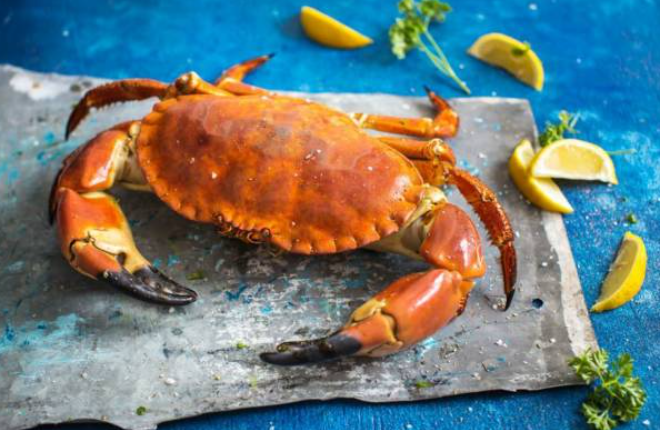 Understanding the World of Tasty Crab Varieties